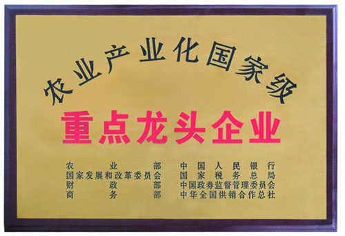 國家級農業(yè)產業(yè)化重點龍頭企業(yè)