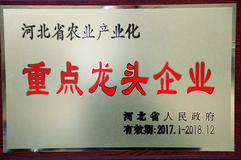 河北省農業(yè)產業(yè)化重點龍頭企業(yè)