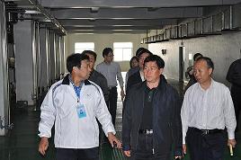 河北省委常委、副省長楊崇勇到我公司視察