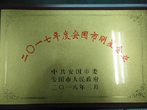 我公司被安國(guó)市委、市政府評(píng)為二〇一七年度明星企業(yè)